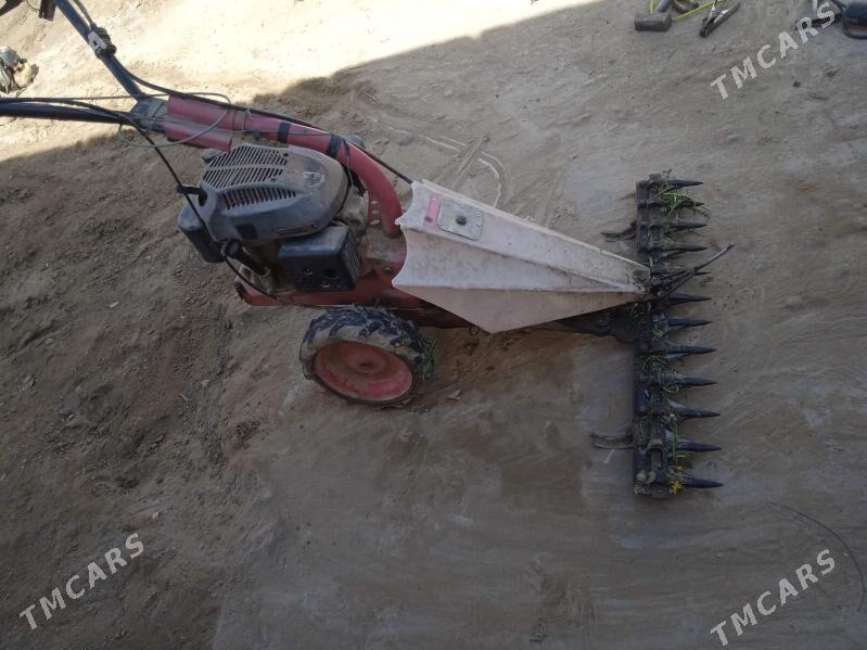 ot oryan maşyn - Farap - img 1