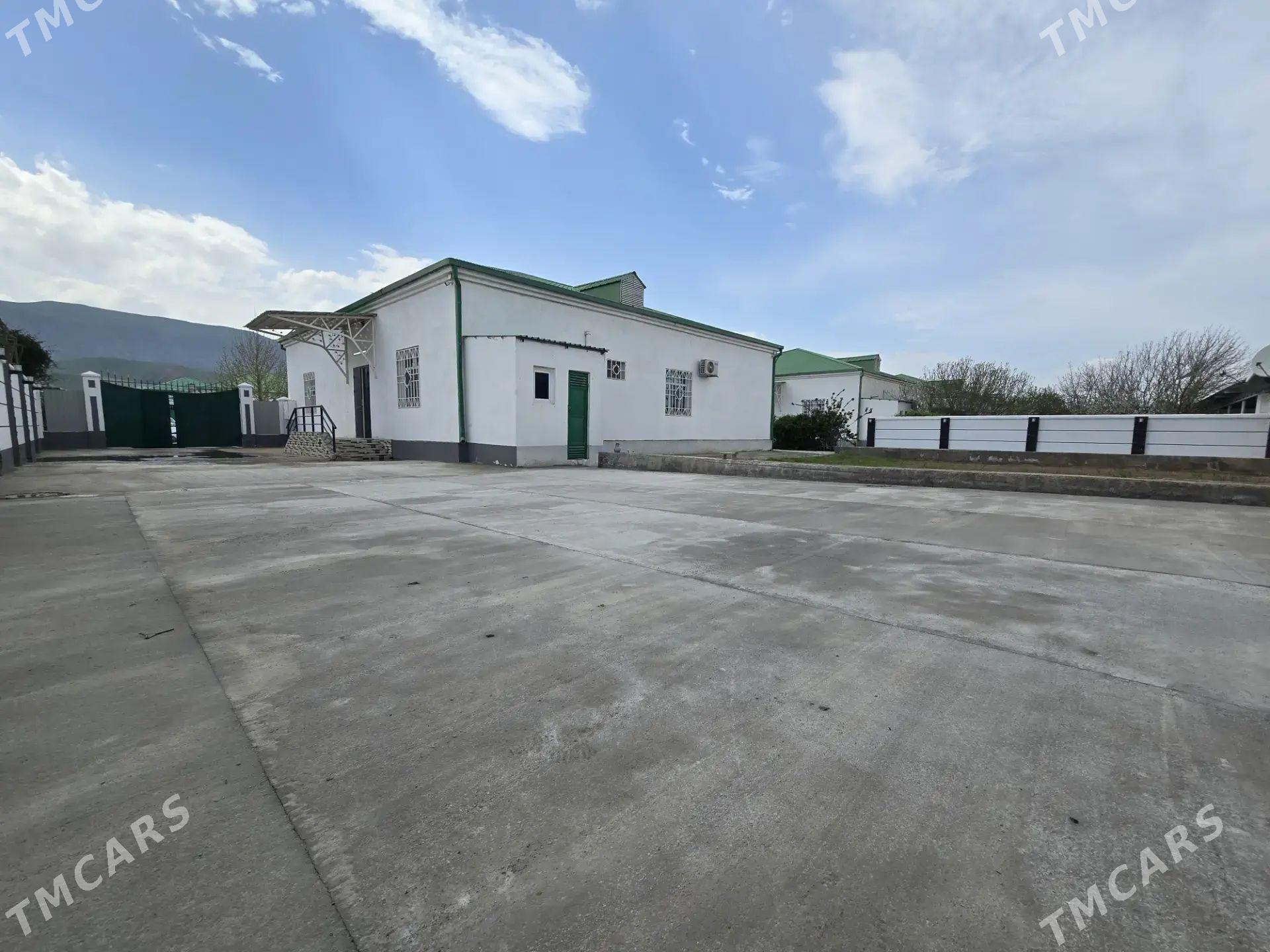 BEREKETLI ZAMAN 10 SOTUK - Änew - img 1