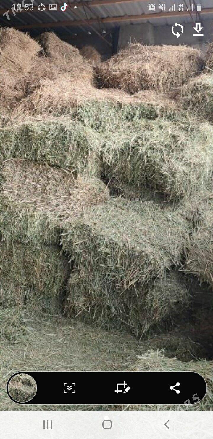 yorunja kip bede - Мары - img 1