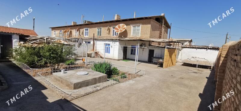 Satlyk jay - Tejen - img 1