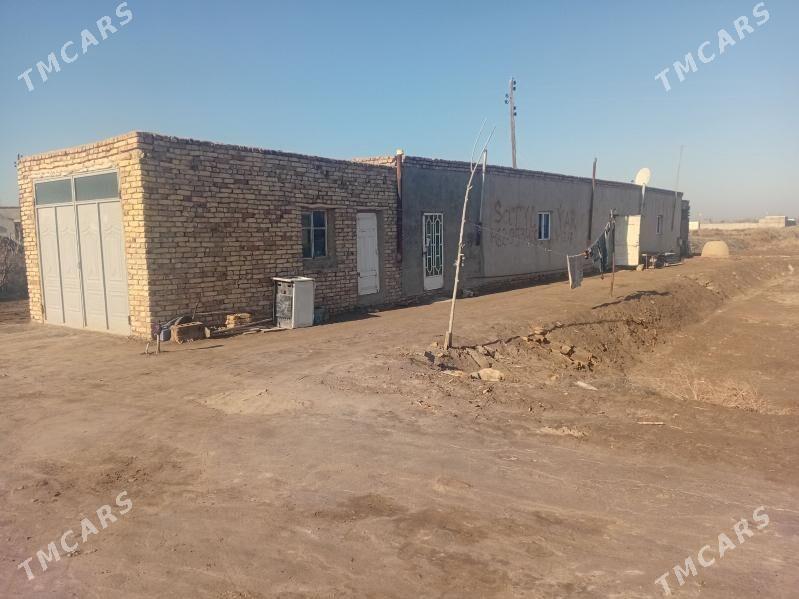 satlyk.jay.ucaska - Акдепе - img 1