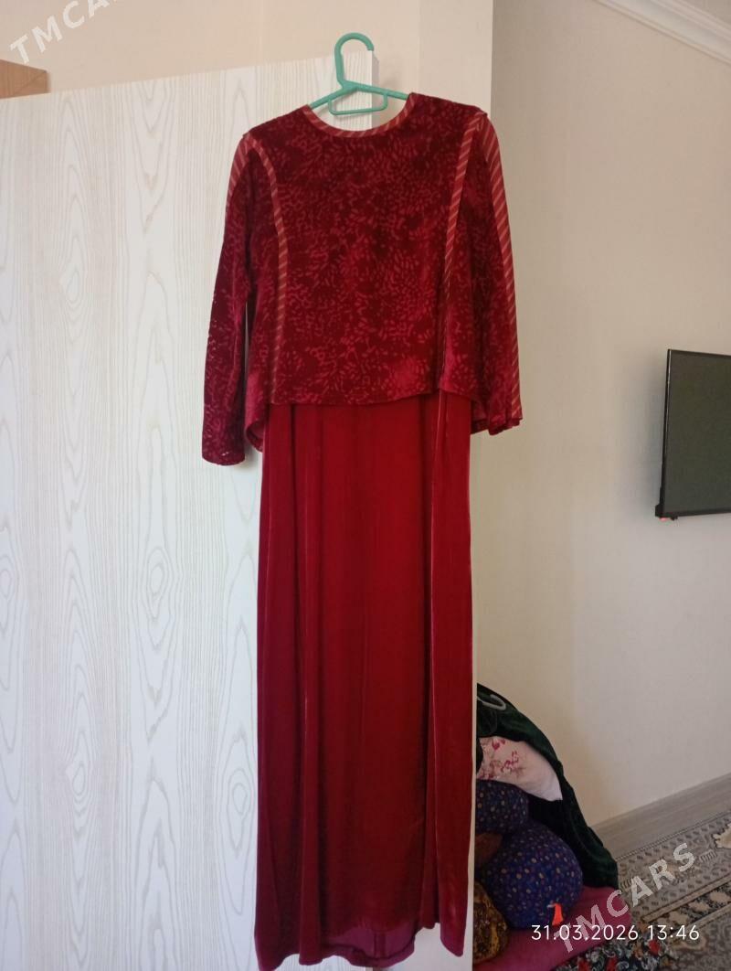 Toy köŷnek pombarh - Чоганлы - img 1