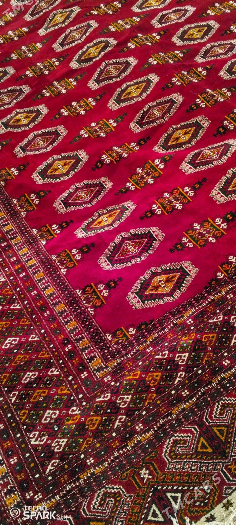 el haly 3.4 - Бахарден - img 1