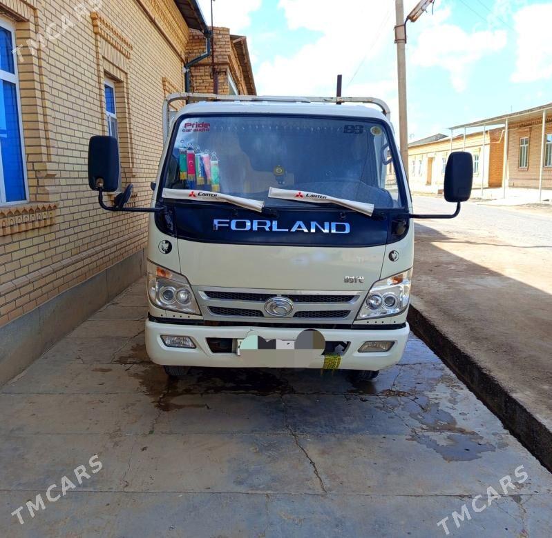 Forland H2 2015 - 150 000 TMT - Чарджоу - img 1