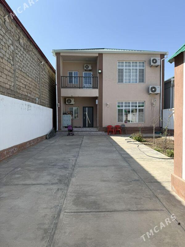 choganly kotej - Чоганлы - img 1