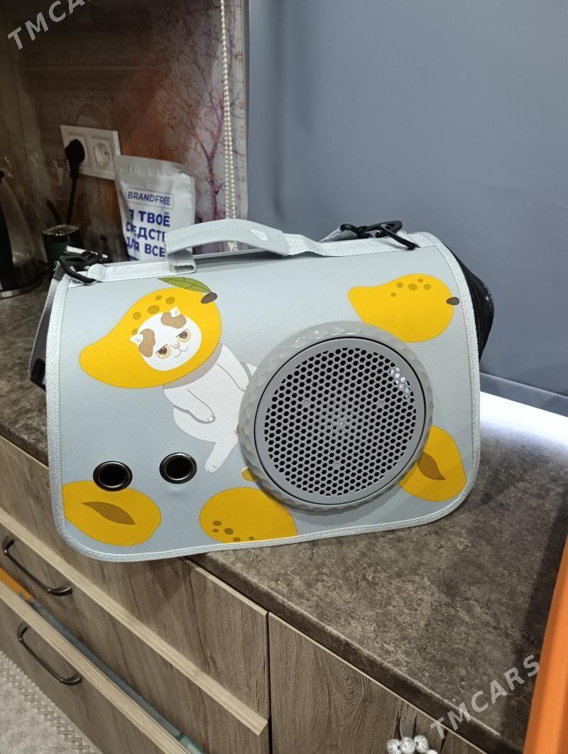 атрибуты для кошек, pişik üçin - 1 мкр - img 1