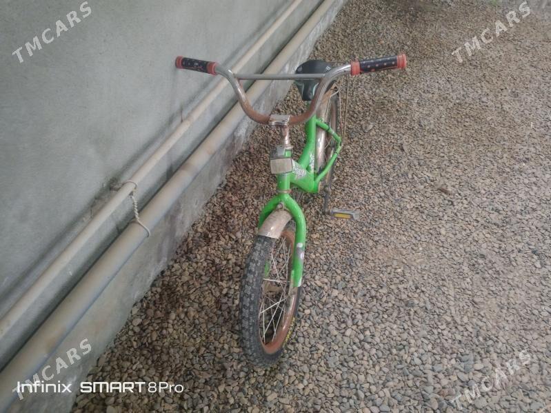 welosped kici - Mary - img 1