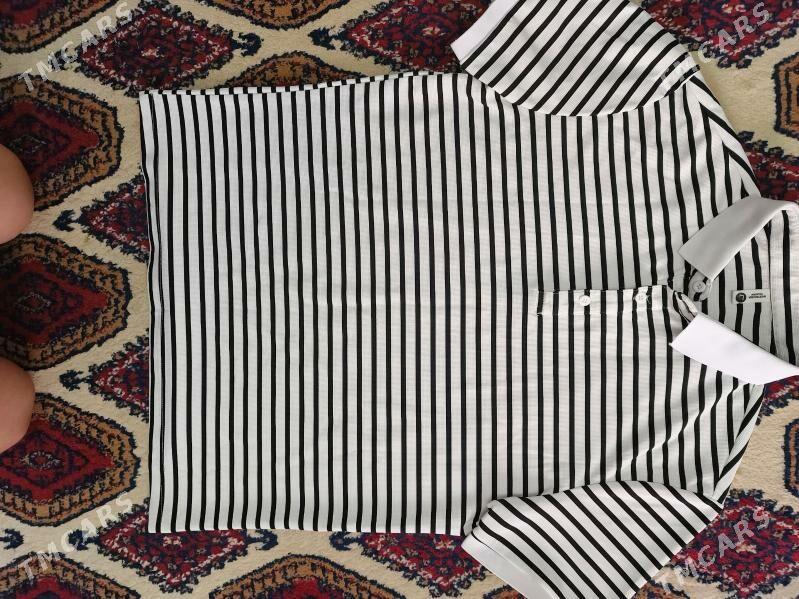 batniklar - Türkmenbaşy - img 1