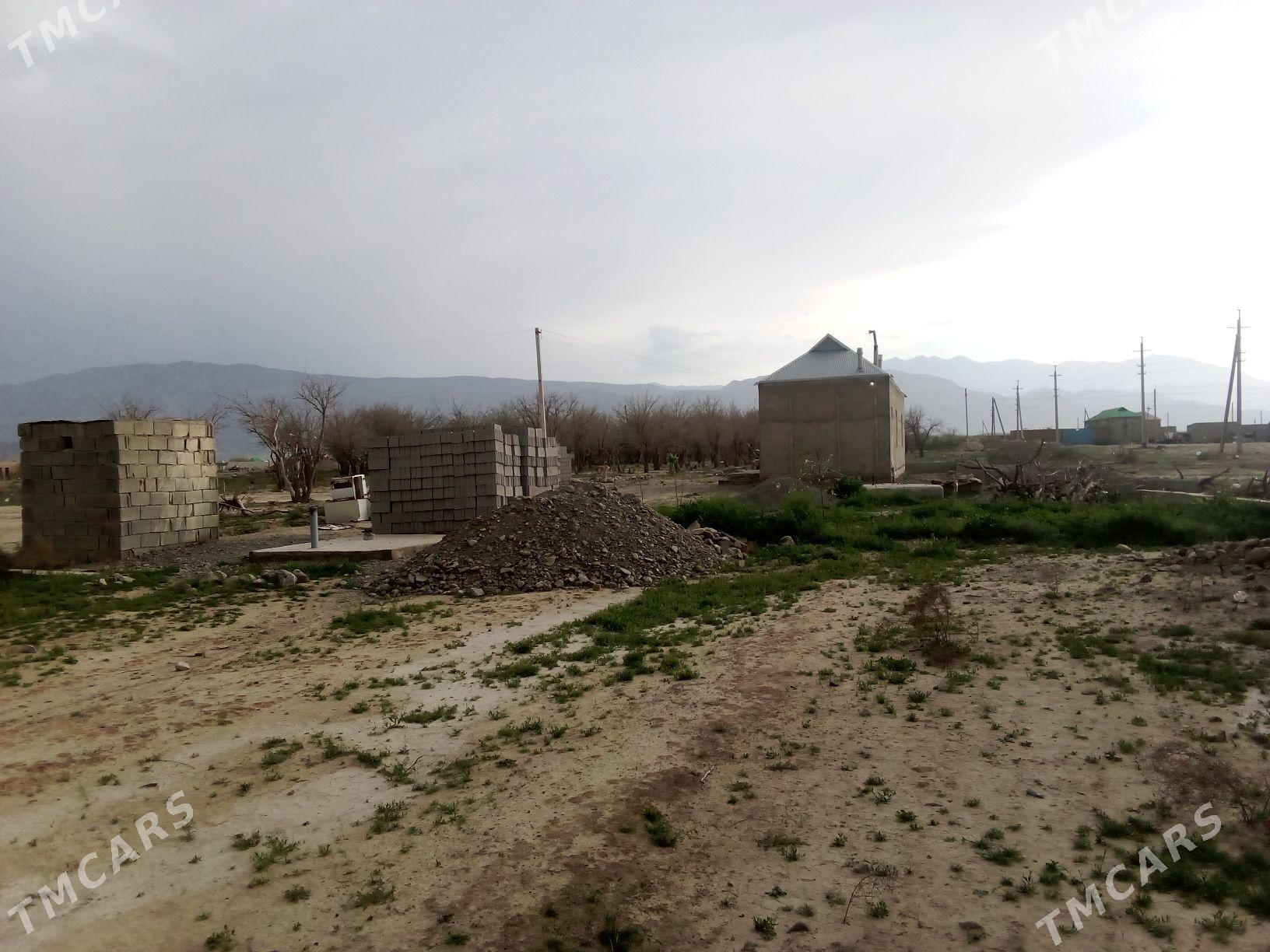 jay - Bäherden - img 1