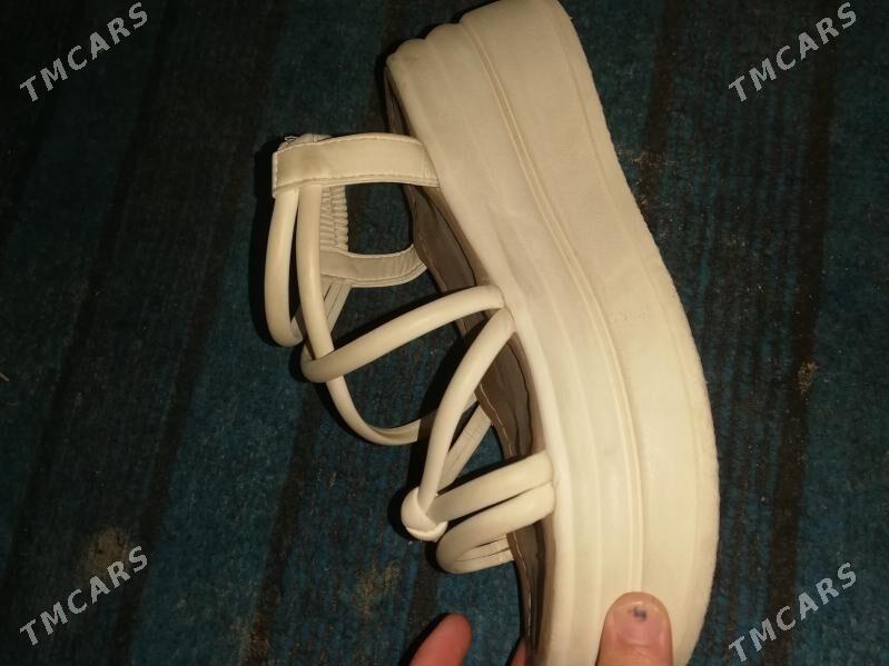 Kovish basanoska - Mary - img 1