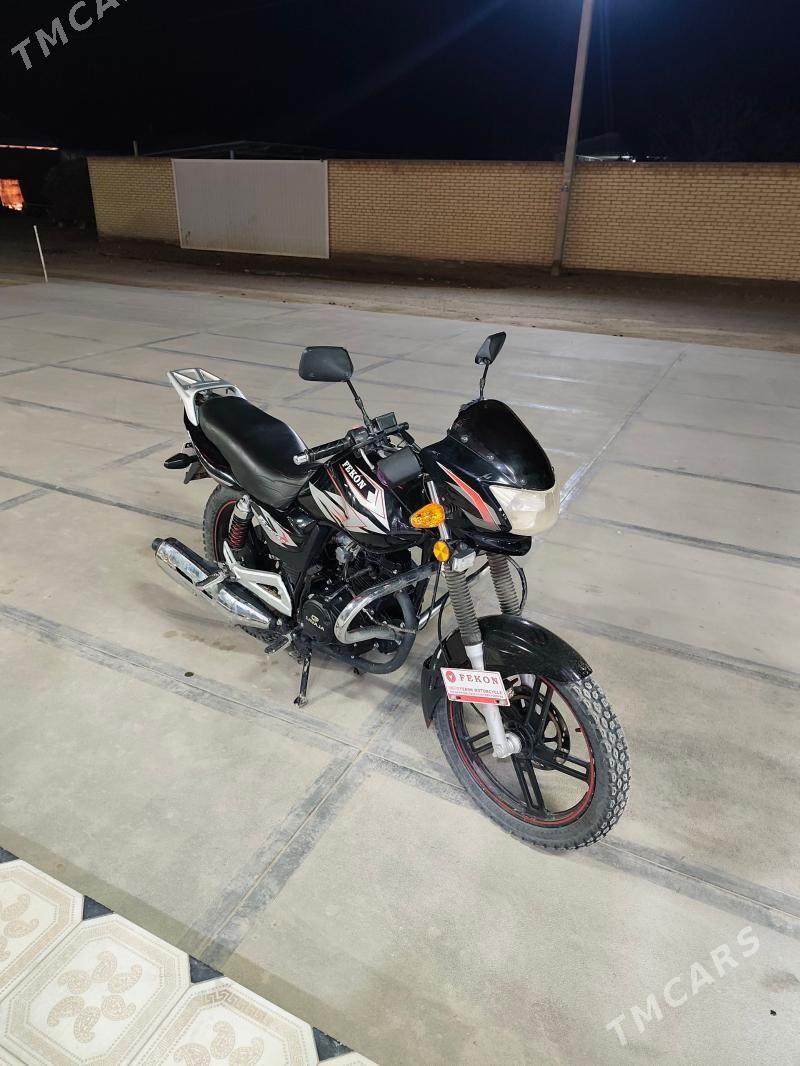 Fekon FK200-14G 2026 - 17 000 TMT - Сакарчага - img 1