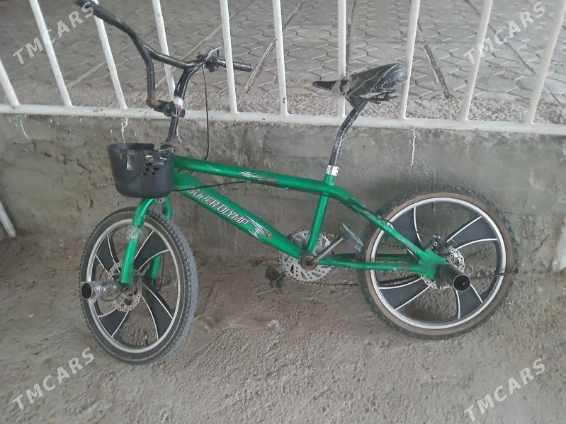 tigir - Кипджак - img 1