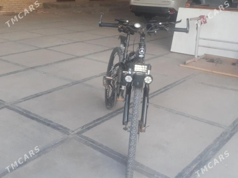 mersedec tigir - Sakarçäge - img 1