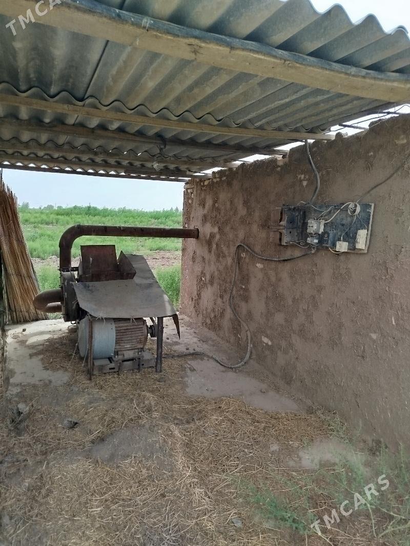 Ot üweýän haraz - Теджен - img 1