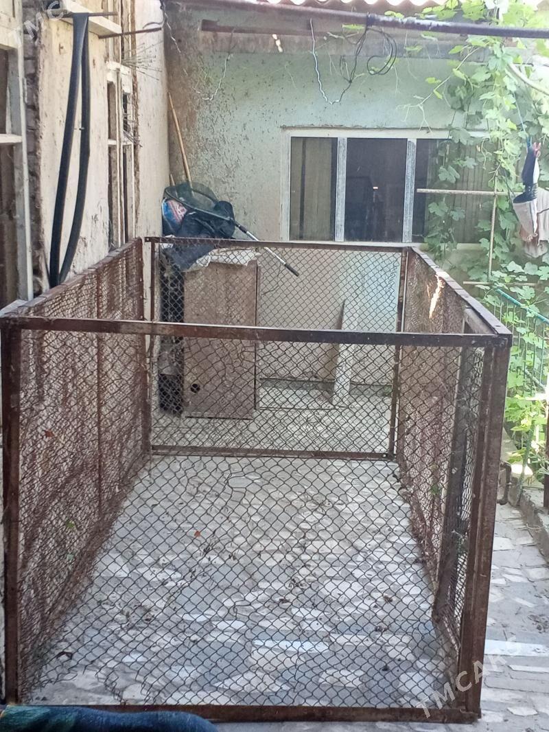 towuk. ketek - Daşoguz - img 1