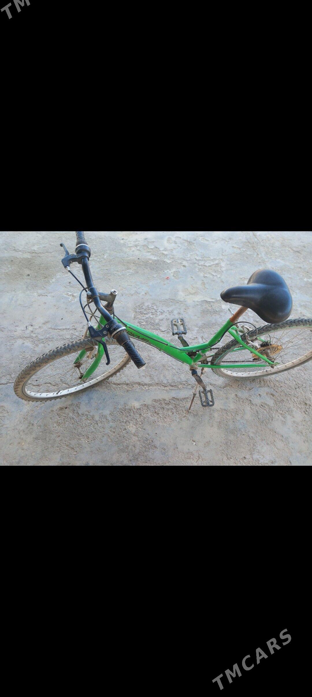 welik - Дянев - img 1