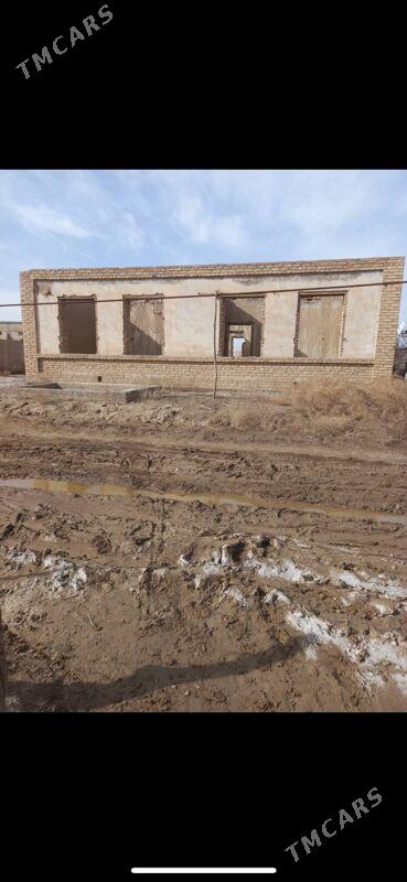 Satlyk jay - Mary - img 1