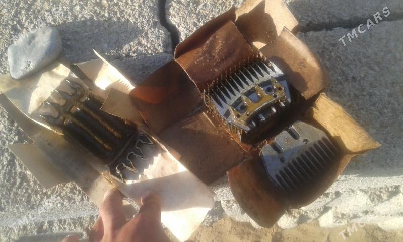 goyun - "Алтын Асыр" Гундогар базары ( Толкучка) - img 1