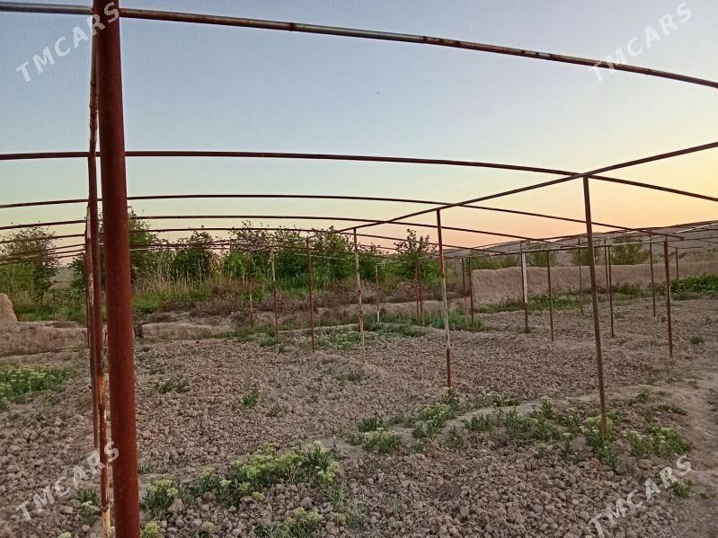 parnik dmier - Байрамали - img 1