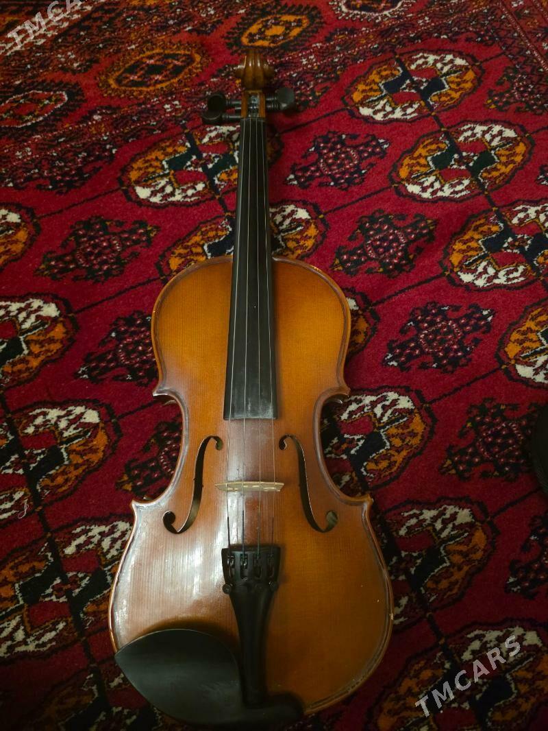 Skripka - Gagarin köç, köne Howa menzili - img 1