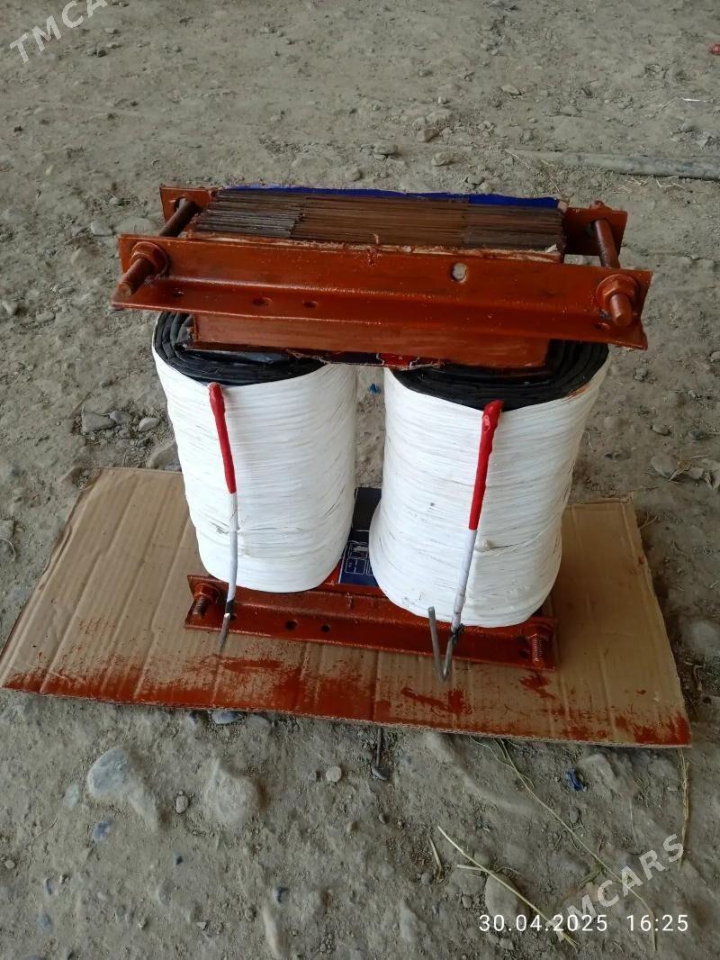 tok kopeltyan - Mary - img 1