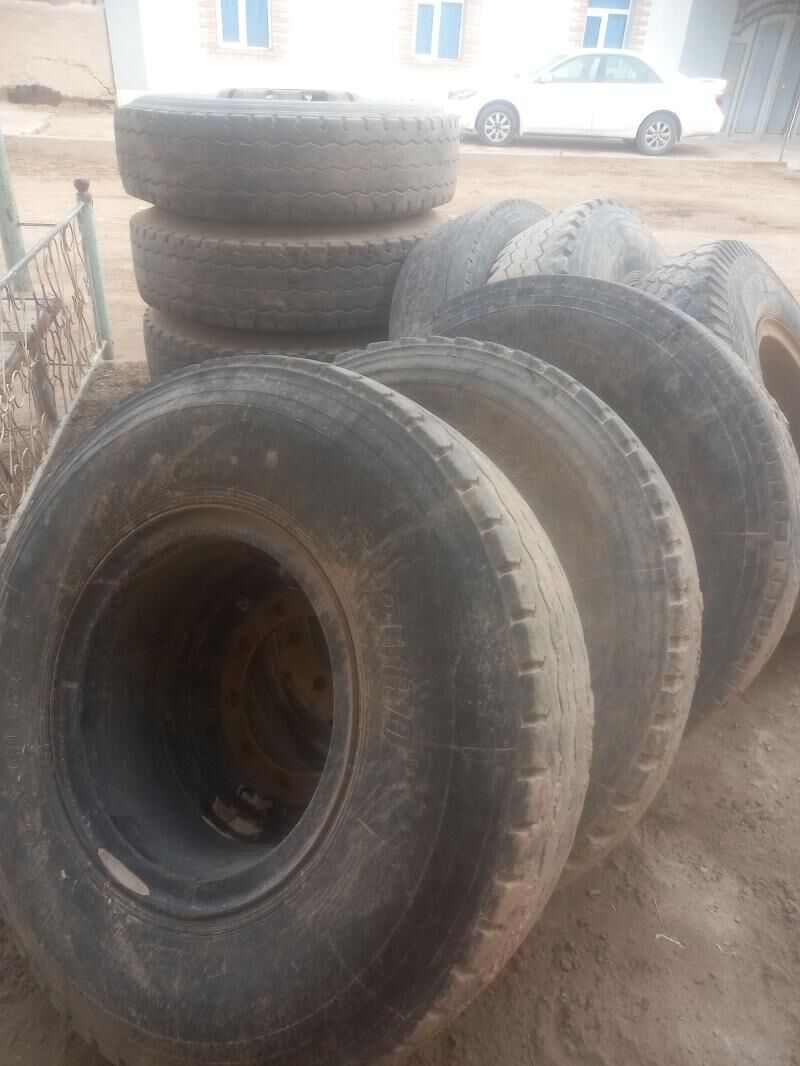 Tigir 600 TMT - Çärjew - img 1