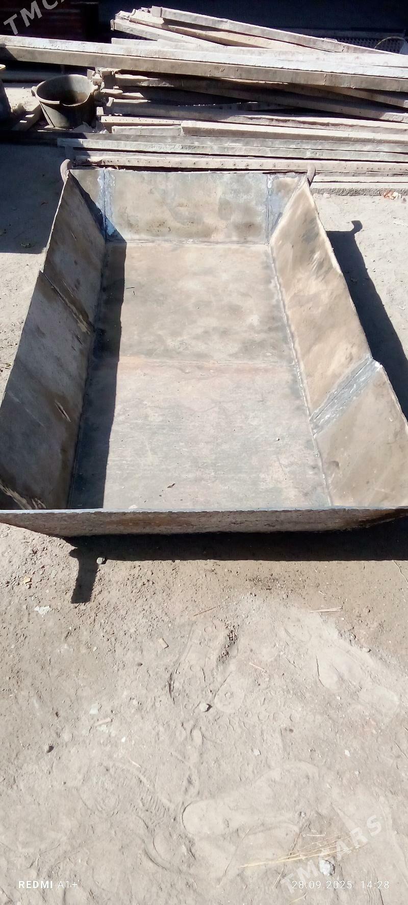 karyta - Sakarçäge - img 1