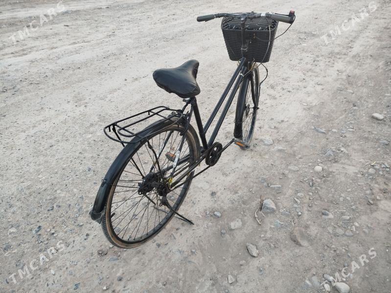 26 welsapet - Mary - img 1