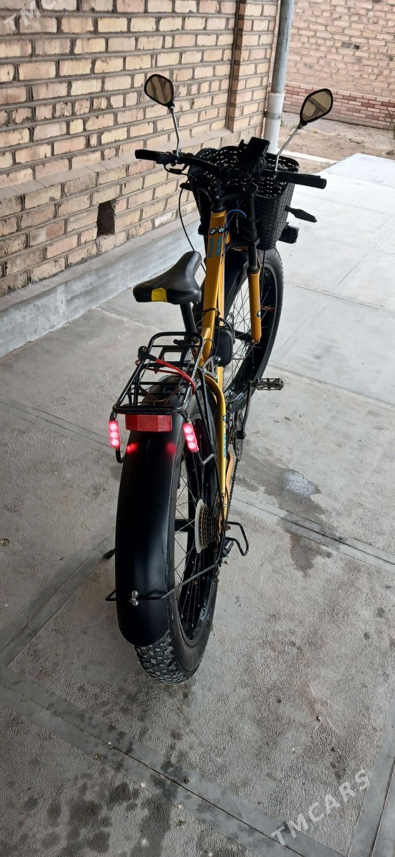 welseped - Mary - img 1