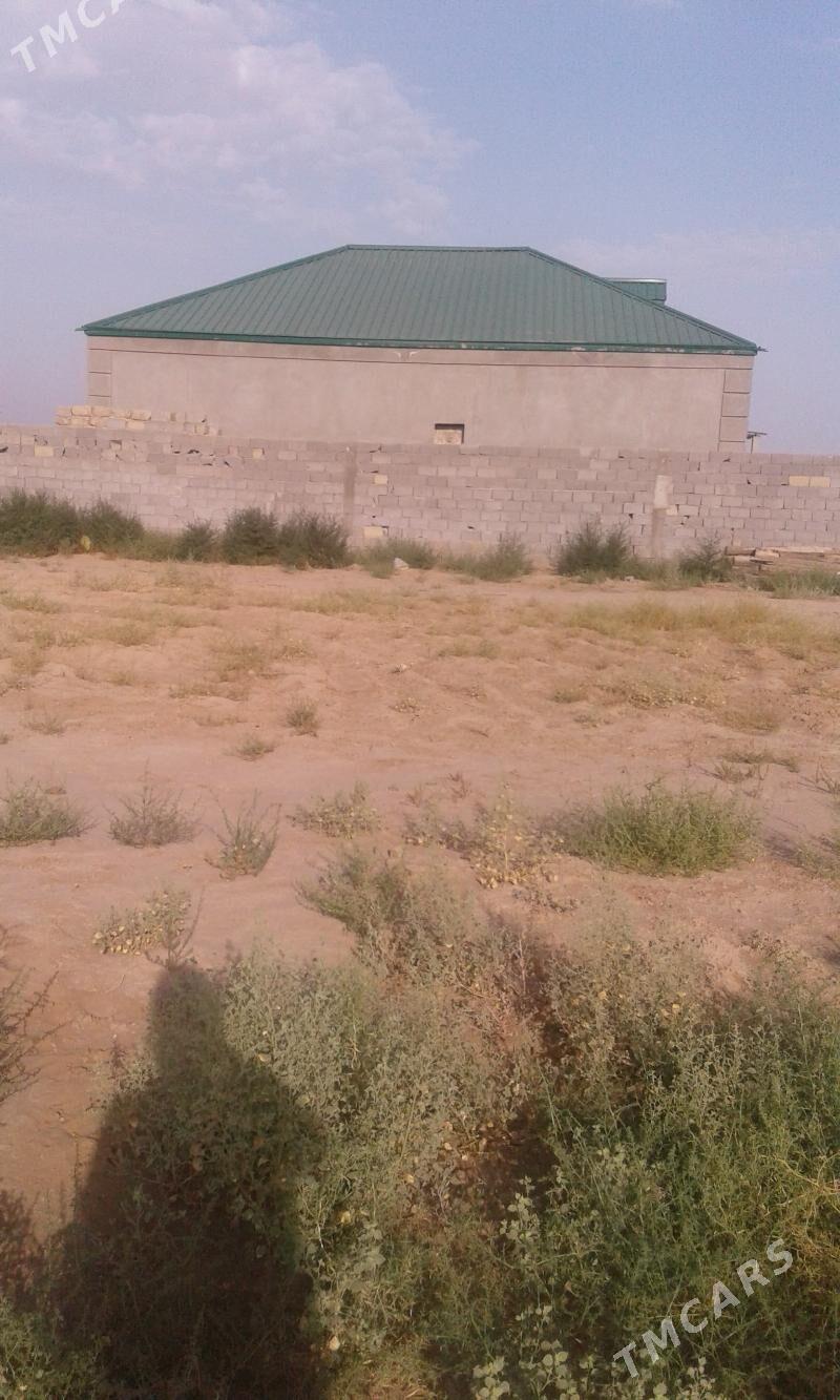 anew jay - Анев - img 1