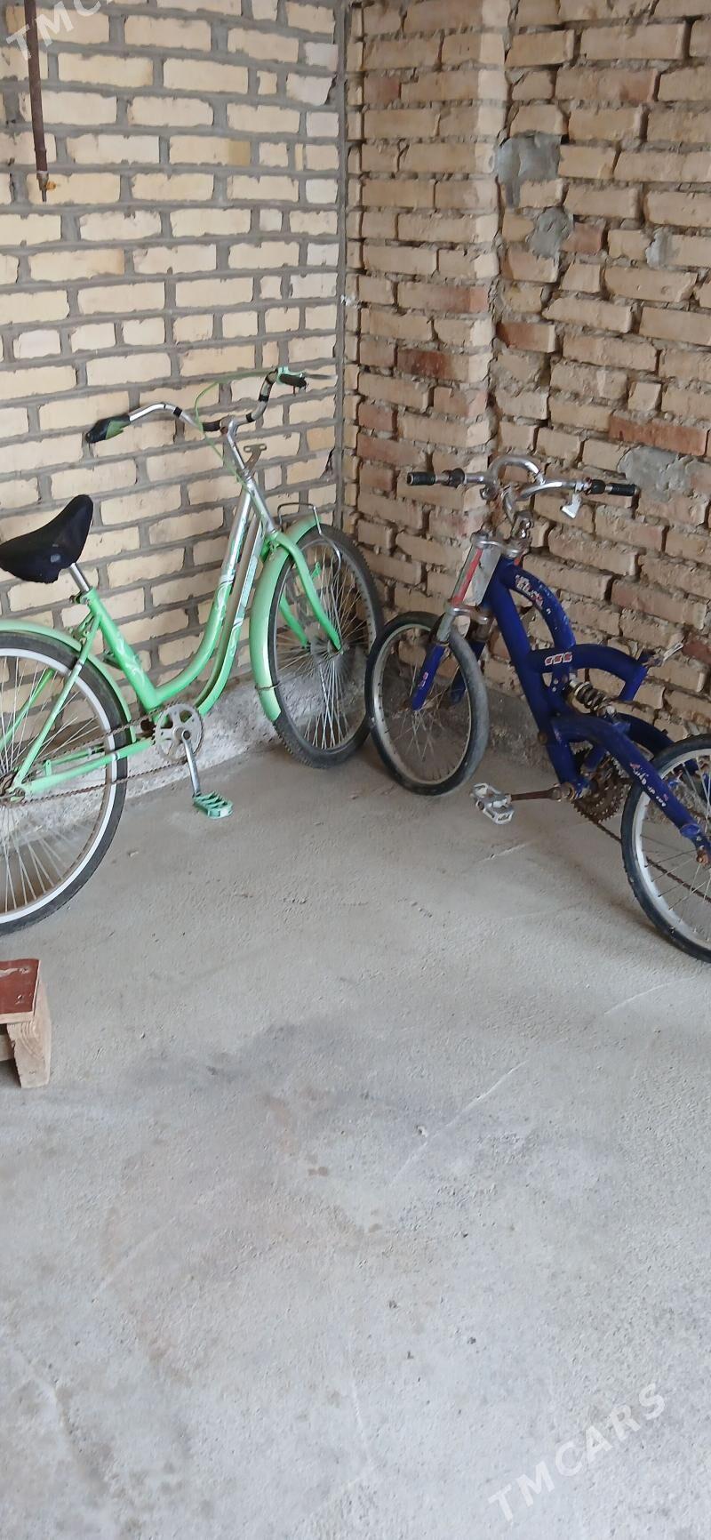 Tıgır Velosapet - Ak bugdaý etraby - img 1