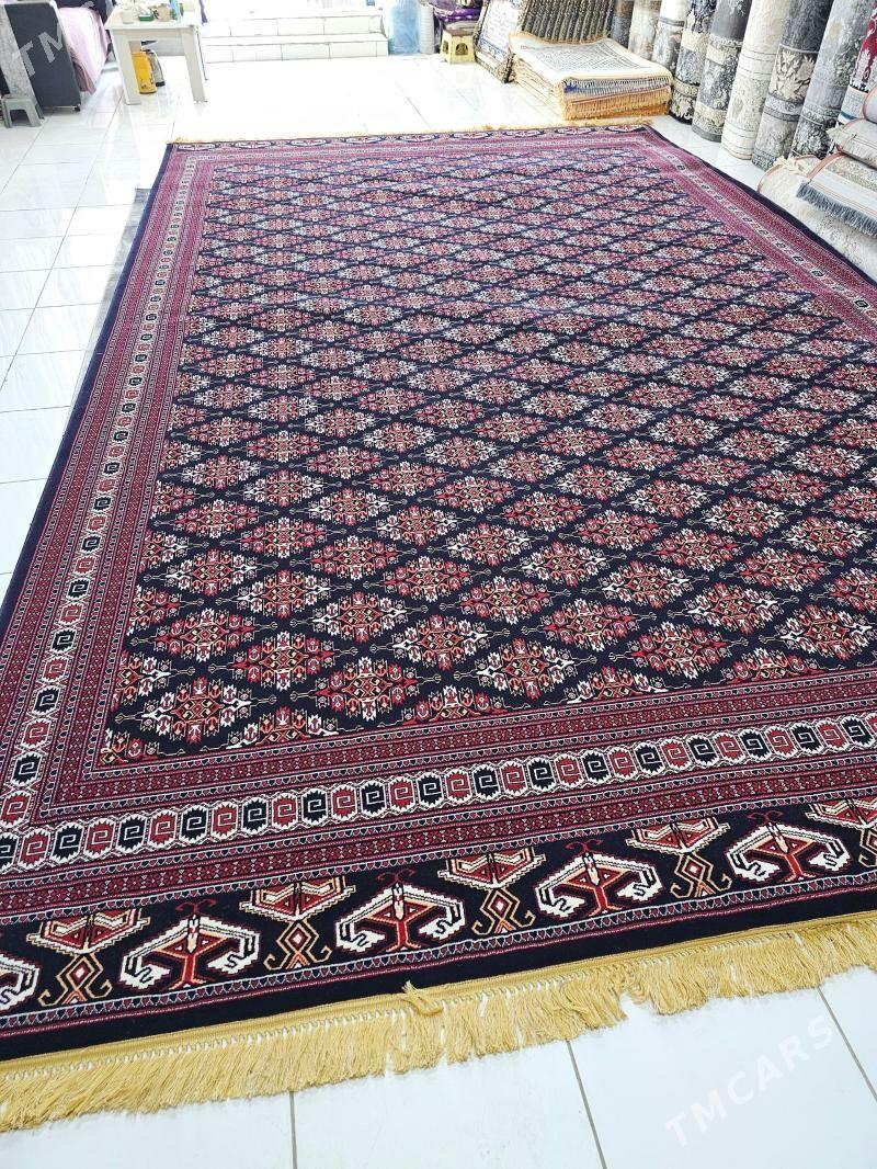 HALY SKITKADA EYRAN TURK - Bedew - img 1