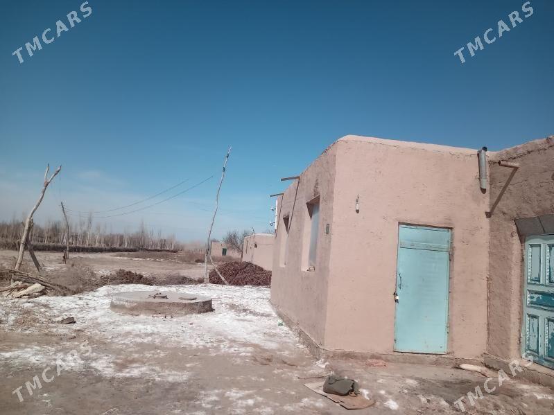 jay - етр. Туркменбаши - img 1