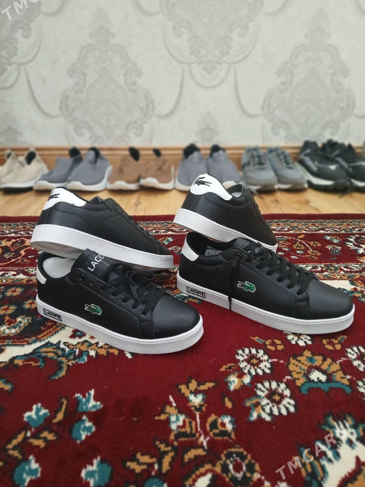 Taze Lacosta krasowkalar - Mary - img 1