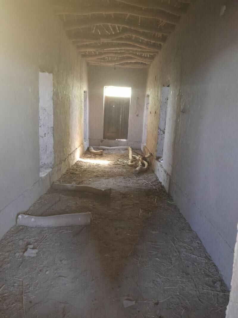 Gubadag jay - Gubadag - img 1