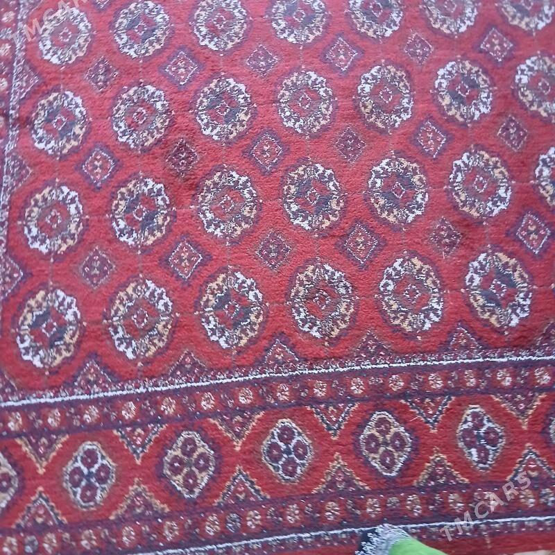 haly - Aşgabat - img 1