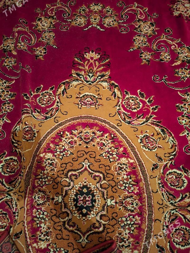 Haly - 1 mkr - img 1