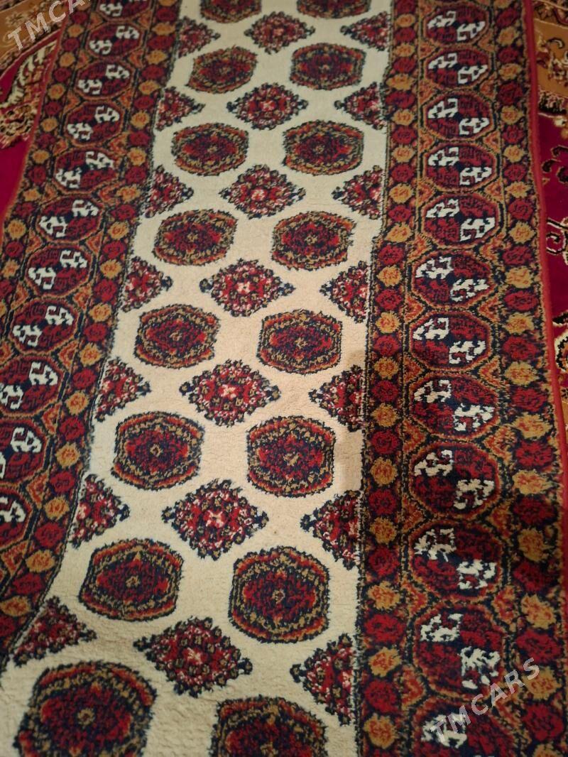 Haly - 1 mkr - img 1