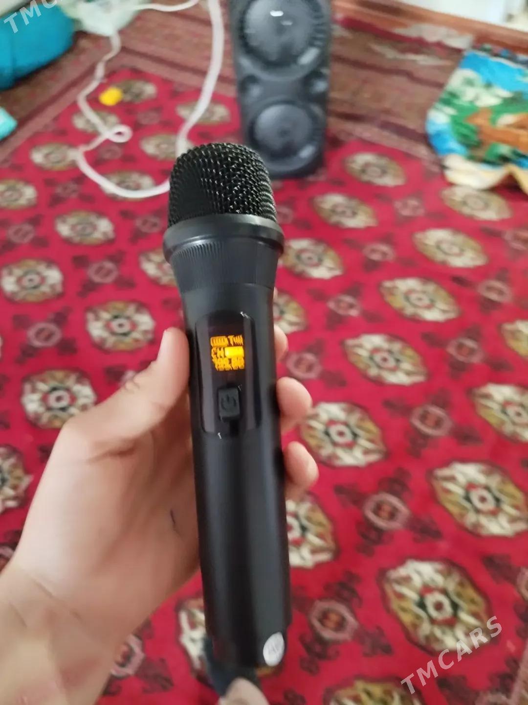 kalonka - Murgap - img 1