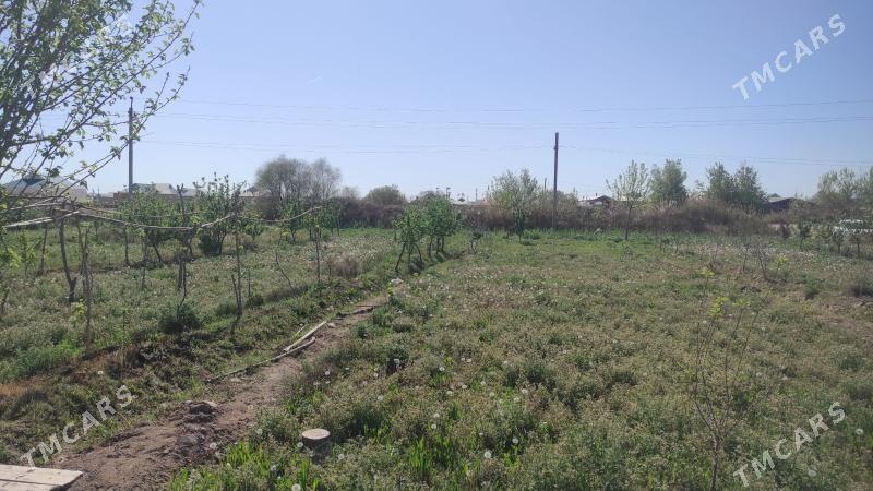 Ekin ýer - Теджен - img 1