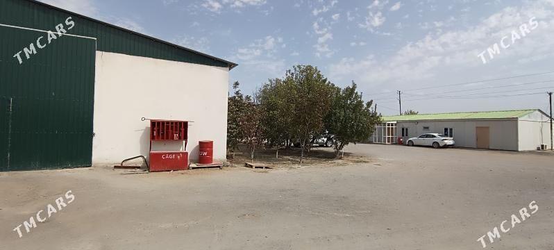 Änewde satlyk baza - Ашхабад - img 1