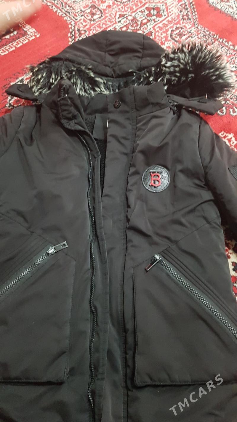 kurtga 9-10 yaş uçin - Türkmenabat - img 1