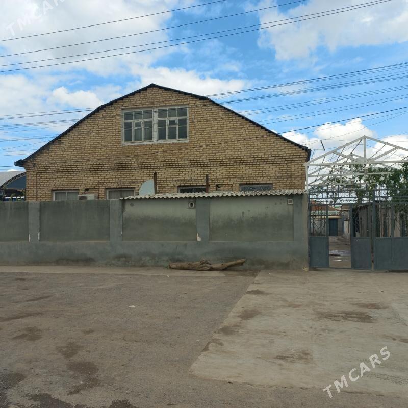 anew plon jay - Änew - img 1