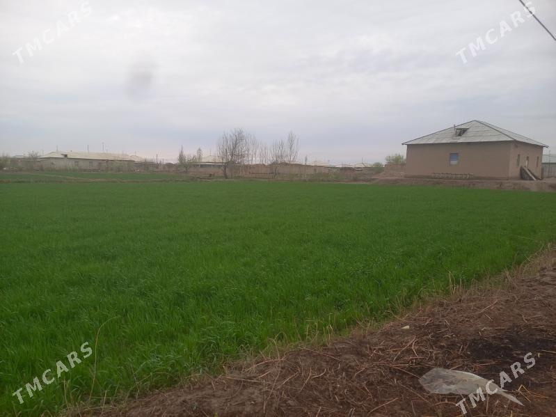 Emlek yer - Шабатский этрап - img 1