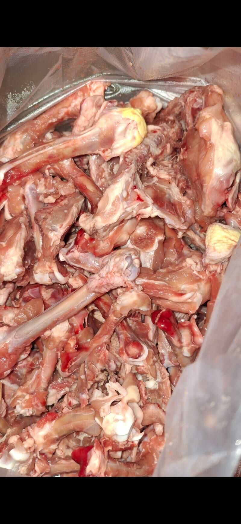 lasge sun̈ki - Херрикгала - img 1