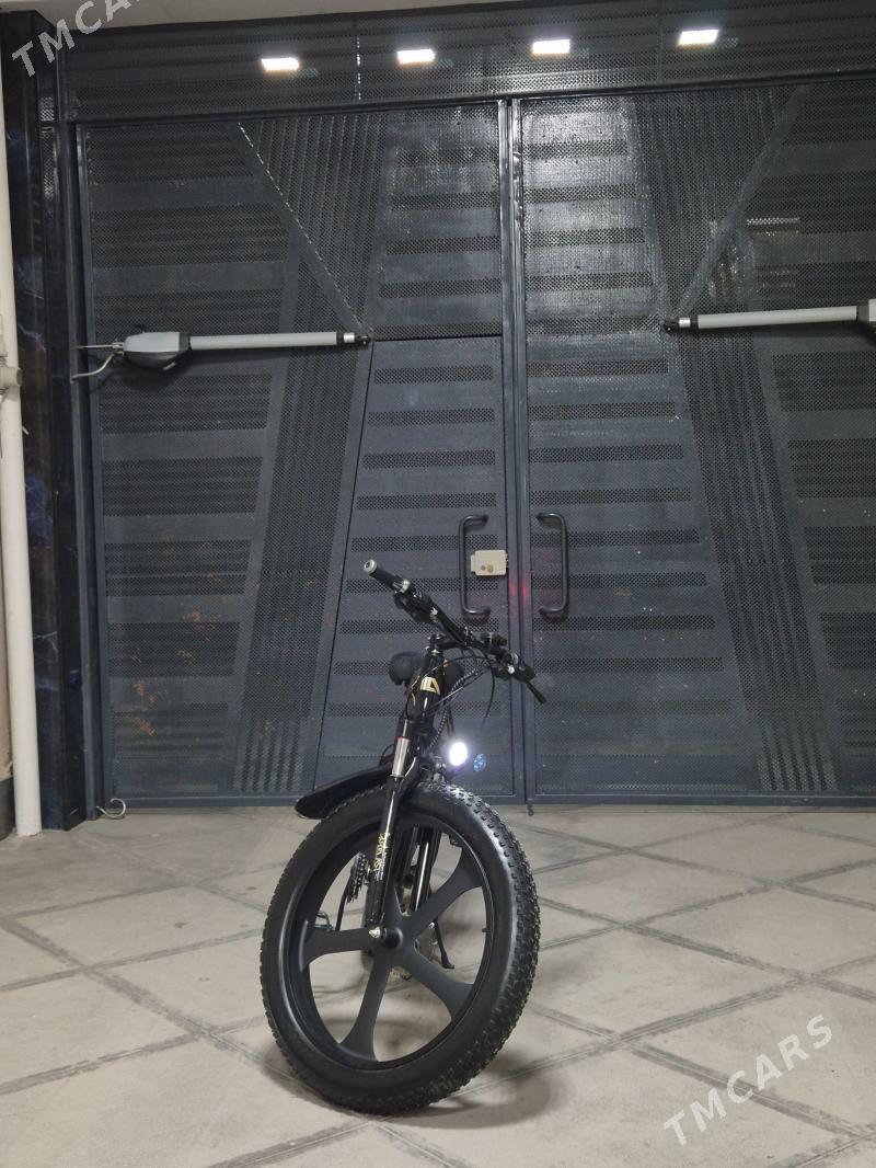 Tokly tigir Akez - Хитровка - img 1