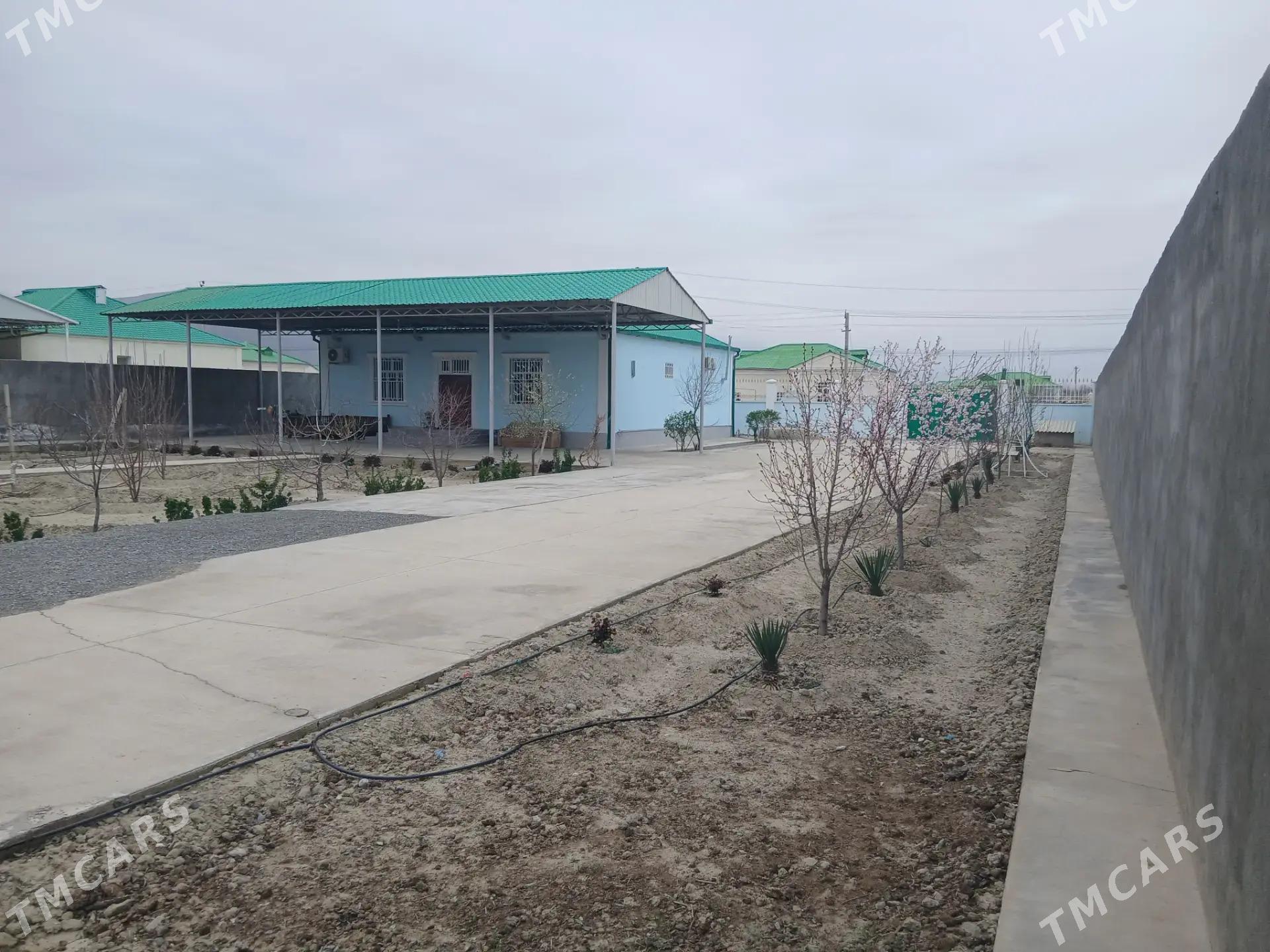 satlyk plan jay - Gökdepe - img 1