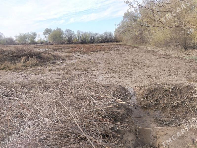 Учасга - Кёнеургенч - img 1