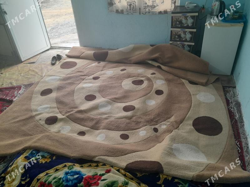 haly - Büzmeýin GRES - img 1