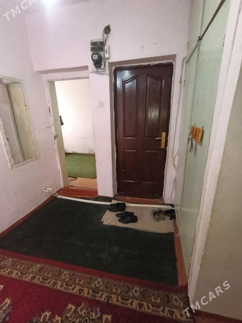 Satlyk jay - Mary - img 1